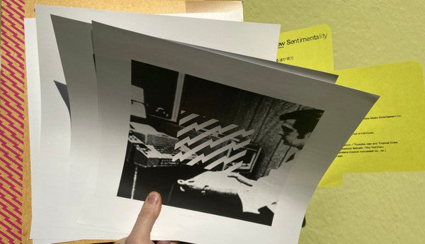 New Sentimentality (CARDBOARD SMEAR VINYL) | Mint (M) Mint (M)-Classic Vinyl Record