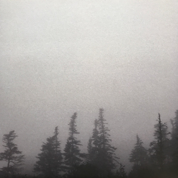 Godspeed You Black Emperor! - G_d's Pee At State's End! (180G VINYL LP + 10" EP) | Mint (M) Mint (M)-Classic Vinyl Record