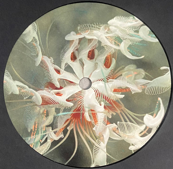 Cassian - Dun Dun (VINYL) | Mint (M) Mint (M)-Classic Vinyl Record