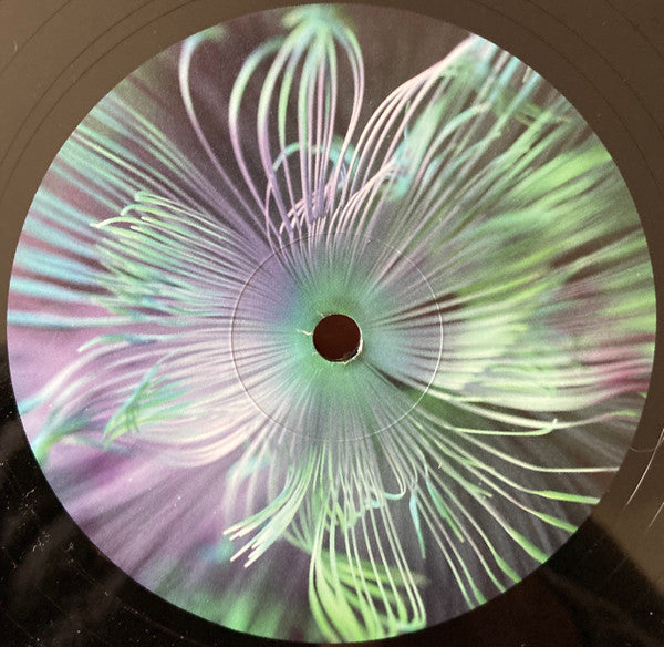 Five Phases - Reflected Wisdom | Mint (M) Mint (M)-Classic Vinyl Record