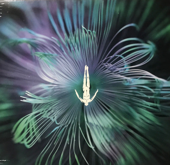 Five Phases - Reflected Wisdom | Mint (M) Mint (M)-Classic Vinyl Record