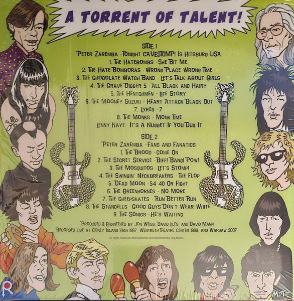 Various - Cavestomp! The Garage Rock Festacular! Presents A Torrent Of Talent! Volume One! | Mint (M) Mint (M)-Classic Vinyl Record