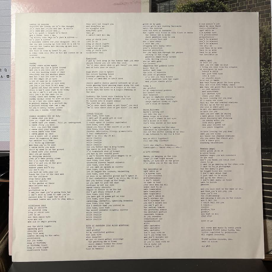 Sonic Youth - A Thousand Leaves (2xVINYL) | Near Mint (NM) Excellent (EX)-Classic Vinyl Record