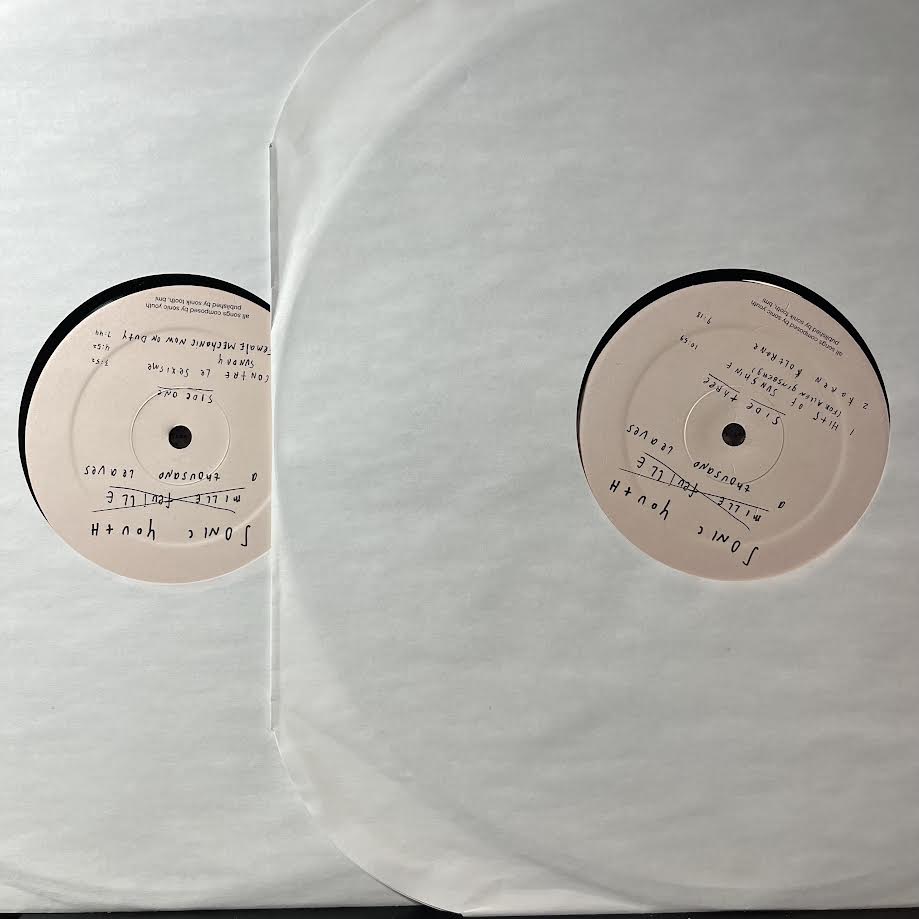 Sonic Youth - A Thousand Leaves (2xVINYL) | Near Mint (NM) Excellent (EX)-Classic Vinyl Record