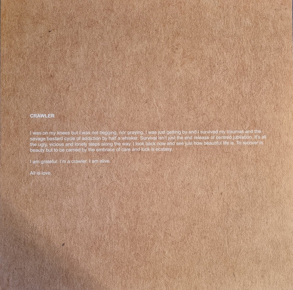 Idles - Crawler | Mint (M) Mint (M)-Classic Vinyl Record