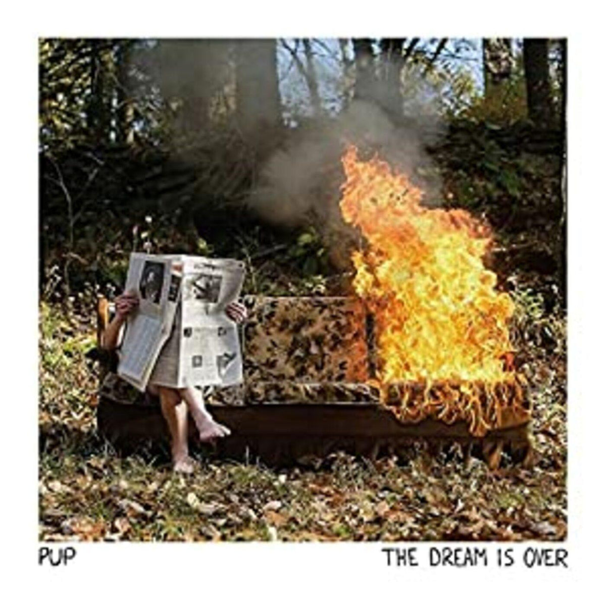 PUP - Dream Is Over (VINYL) | Mint (M) Mint (M)-Classic Vinyl Record