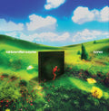 Rainbow Kitten Surprise - Bones (VINYL) | Mint (M) Mint (M)-Classic Vinyl Record