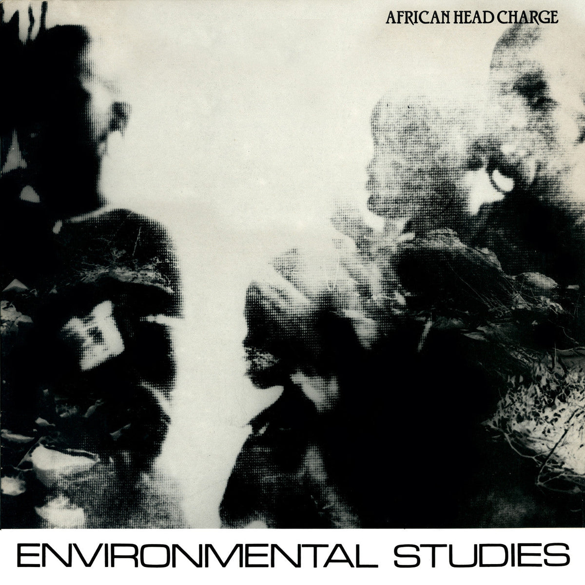 African Head Charge - Environmental Studies |-Classic Vinyl Record