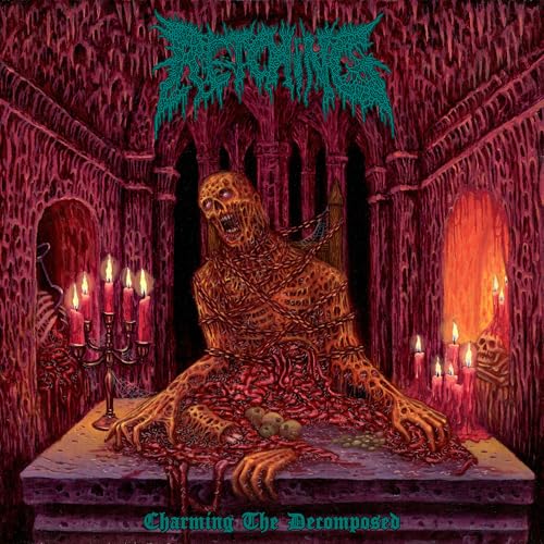 Charming The Decomposed |-Classic Vinyl Record