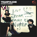 Trampolene - Swansea To Hornsey (Anniversary Edition) (COMMON WELSH GREEN VINYL) (Vinyl) | Mint (M) Mint (M)-Classic Vinyl Record