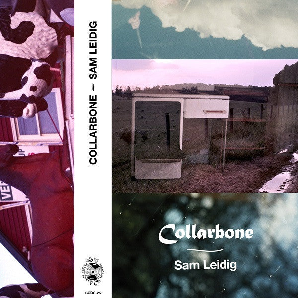 Leidig, Sam - Collarbone (Cassette) | Mint (M) Mint (M)-Classic Vinyl Record