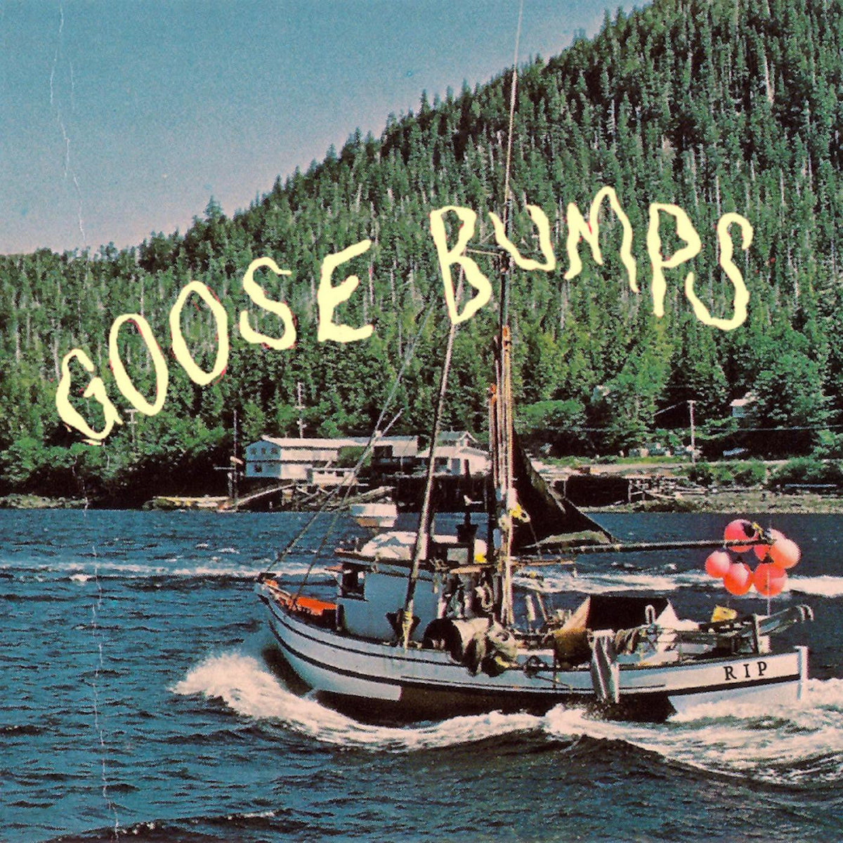 Boyscott - Goose Bumps (CD) |-Classic Vinyl Record