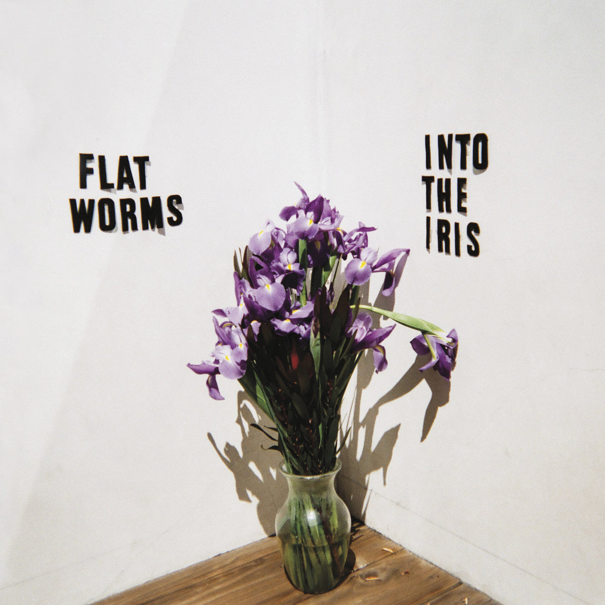 Flat Worms - Into The Iris |-Classic Vinyl Record