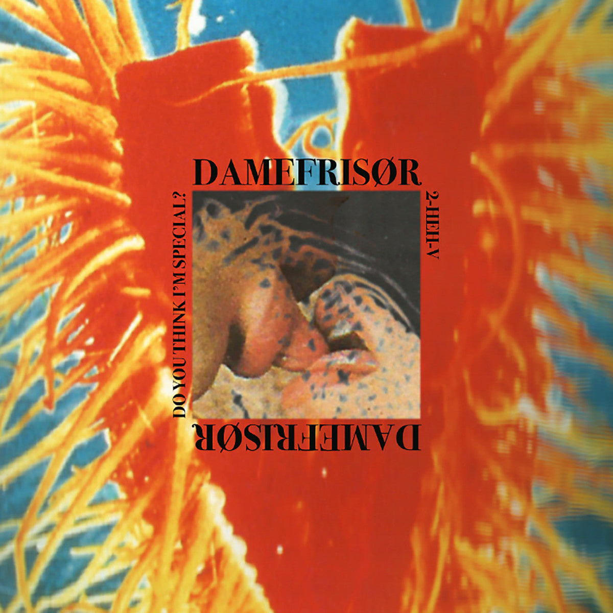 DAMEFRISOR - Do You Think I’m Special? (INDIE EXCLUSIVE) (Vinyl) | Mint (M) Mint (M)-Classic Vinyl Record
