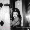 Blood Orange - Coastal Grooves (CD) |-Classic Vinyl Record