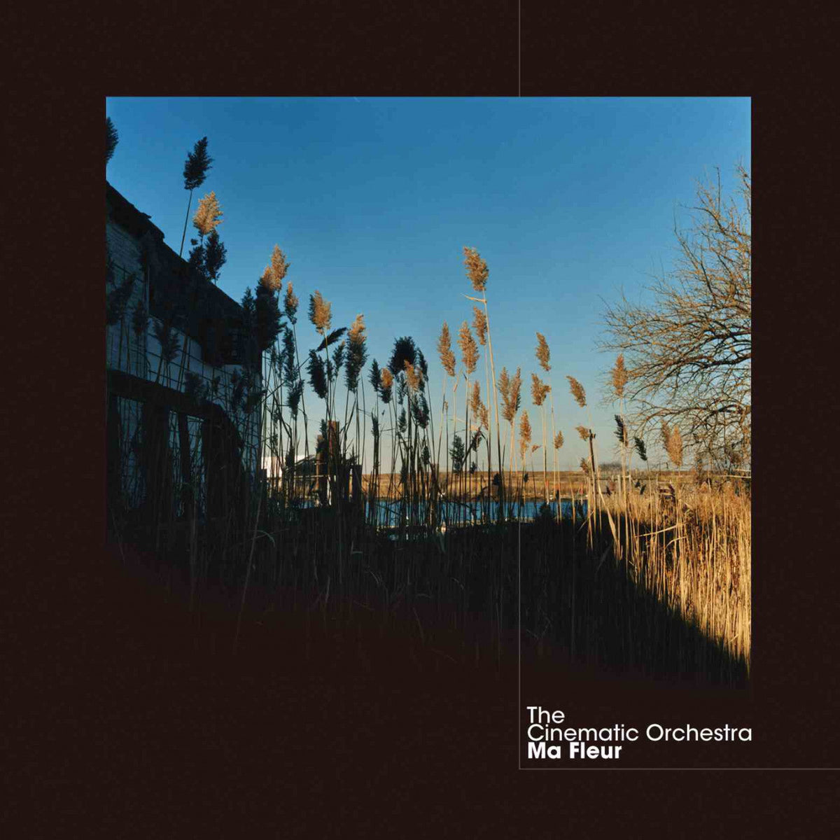Cinematic Orchestra, The - Ma Fleur (CD) |-Classic Vinyl Record