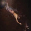Five The Hierophant - Through Aureate Void (CD) |-Classic Vinyl Record