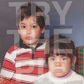 Try The Pie - Domestication (Vinyl) | Mint (M) Mint (M)-Classic Vinyl Record
