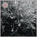 Papercuts - Parallel Universe Blues (CD) |-Classic Vinyl Record