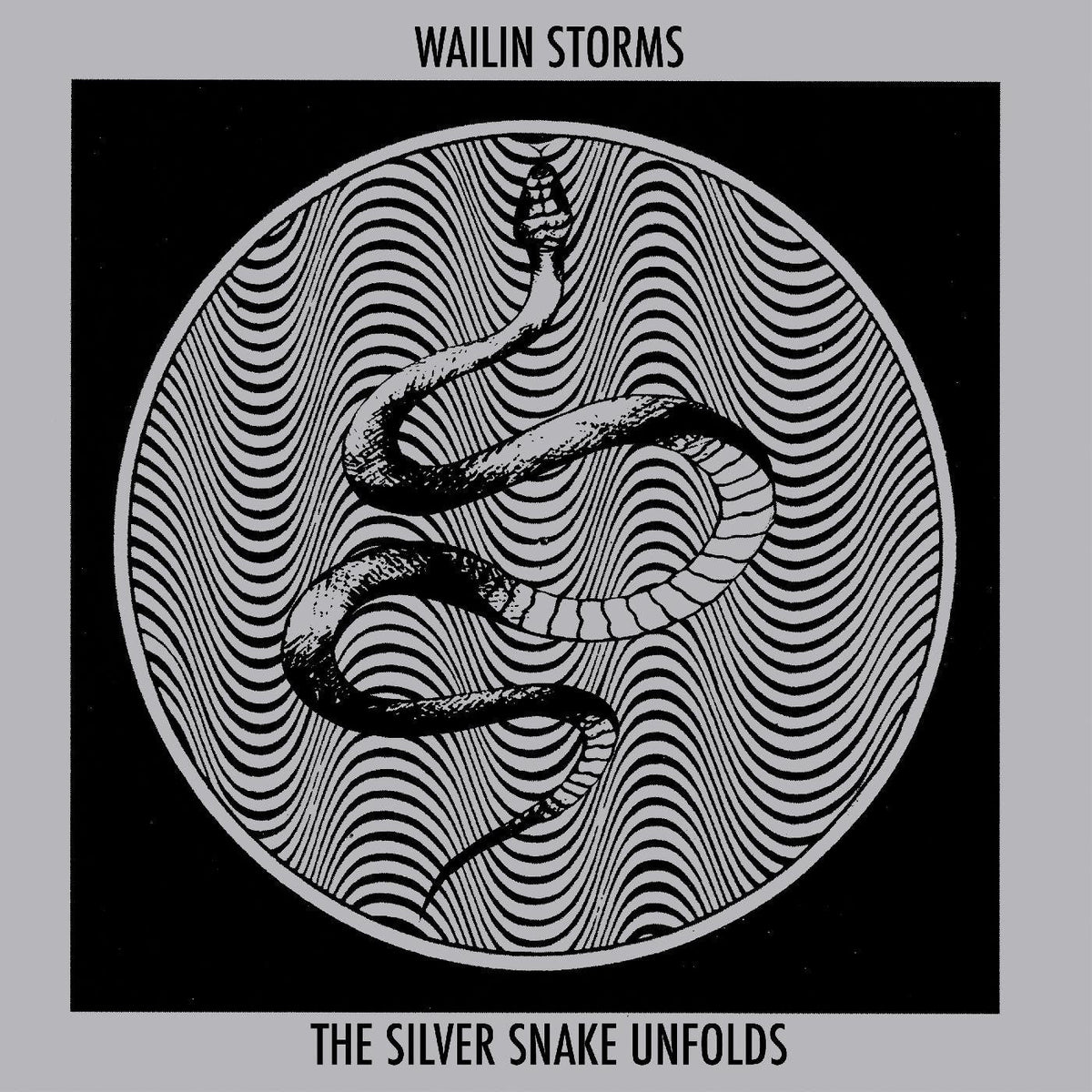 Wailin Storms - The Silver Snake Unfolds (CD) |-Classic Vinyl Record