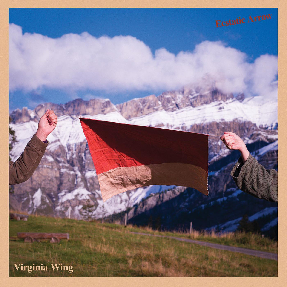 Virginia Wing - Ecstatic Arrow (BLUE VINYL) |-Classic Vinyl Record