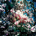 Fennesz / Daniell / Buck - Knoxville (CD) | Mint (M) Mint (M)-Classic Vinyl Record