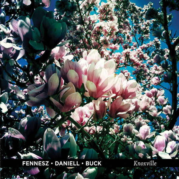 Fennesz / Daniell / Buck - Knoxville (CD) | Mint (M) Mint (M)-Classic Vinyl Record