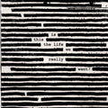 Roger Waters - Is This The Life We Really Want? (CD) | Mint (M) Mint (M)-Classic Vinyl Record