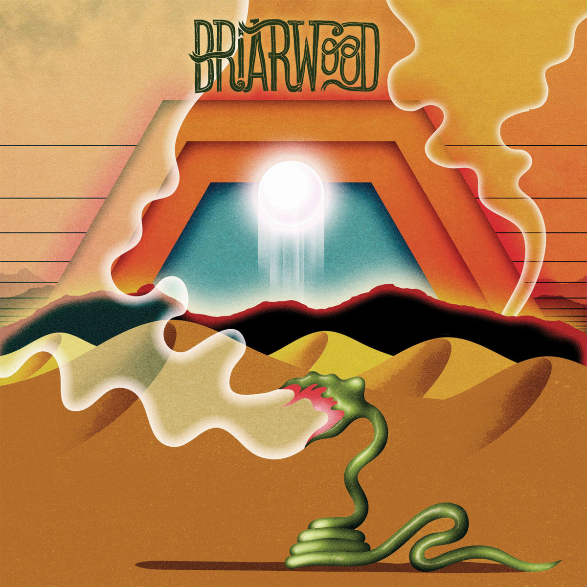 Wooden Wand - Briarwood (CD) |-Classic Vinyl Record