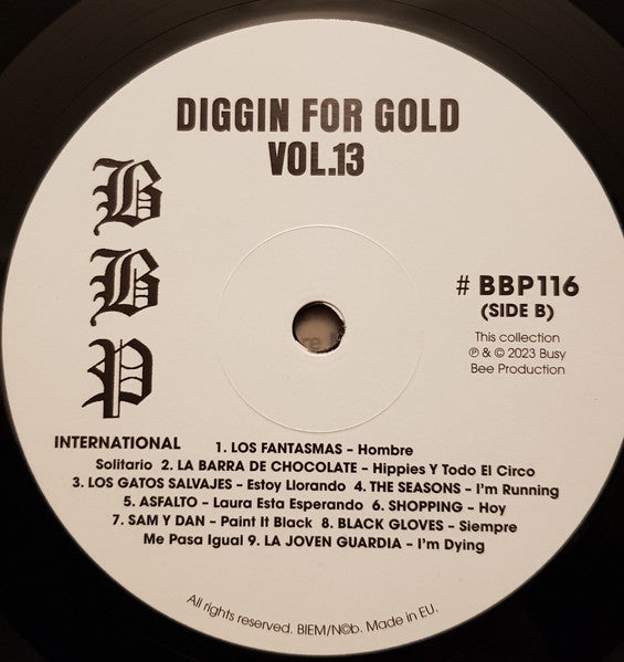 Various - Diggin' For Gold Vol 13 (A Collection Of Demented 60' R&B/Punk & Mesmerizing Pop.) | Mint (M) Mint (M)-Classic Vinyl Record