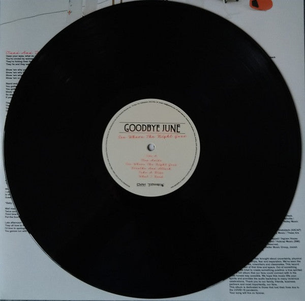 Goodbye June - See Where The Night Goes | Mint (M) Mint (M)-Classic Vinyl Record