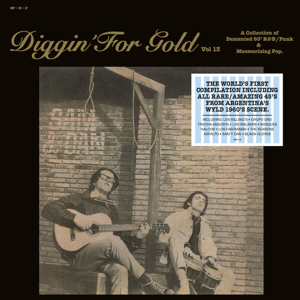 Various - Diggin' For Gold Vol 13 (A Collection Of Demented 60' R&B/Punk & Mesmerizing Pop.) | Mint (M) Mint (M)-Classic Vinyl Record