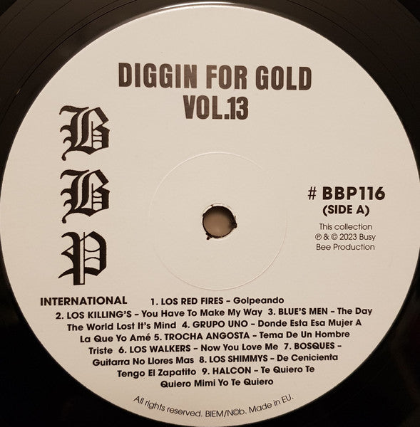 Various - Diggin' For Gold Vol 13 (A Collection Of Demented 60' R&B/Punk & Mesmerizing Pop.) | Mint (M) Mint (M)-Classic Vinyl Record
