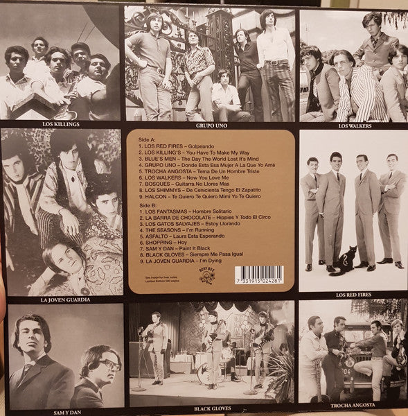 Various - Diggin' For Gold Vol 13 (A Collection Of Demented 60' R&B/Punk & Mesmerizing Pop.) | Mint (M) Mint (M)-Classic Vinyl Record
