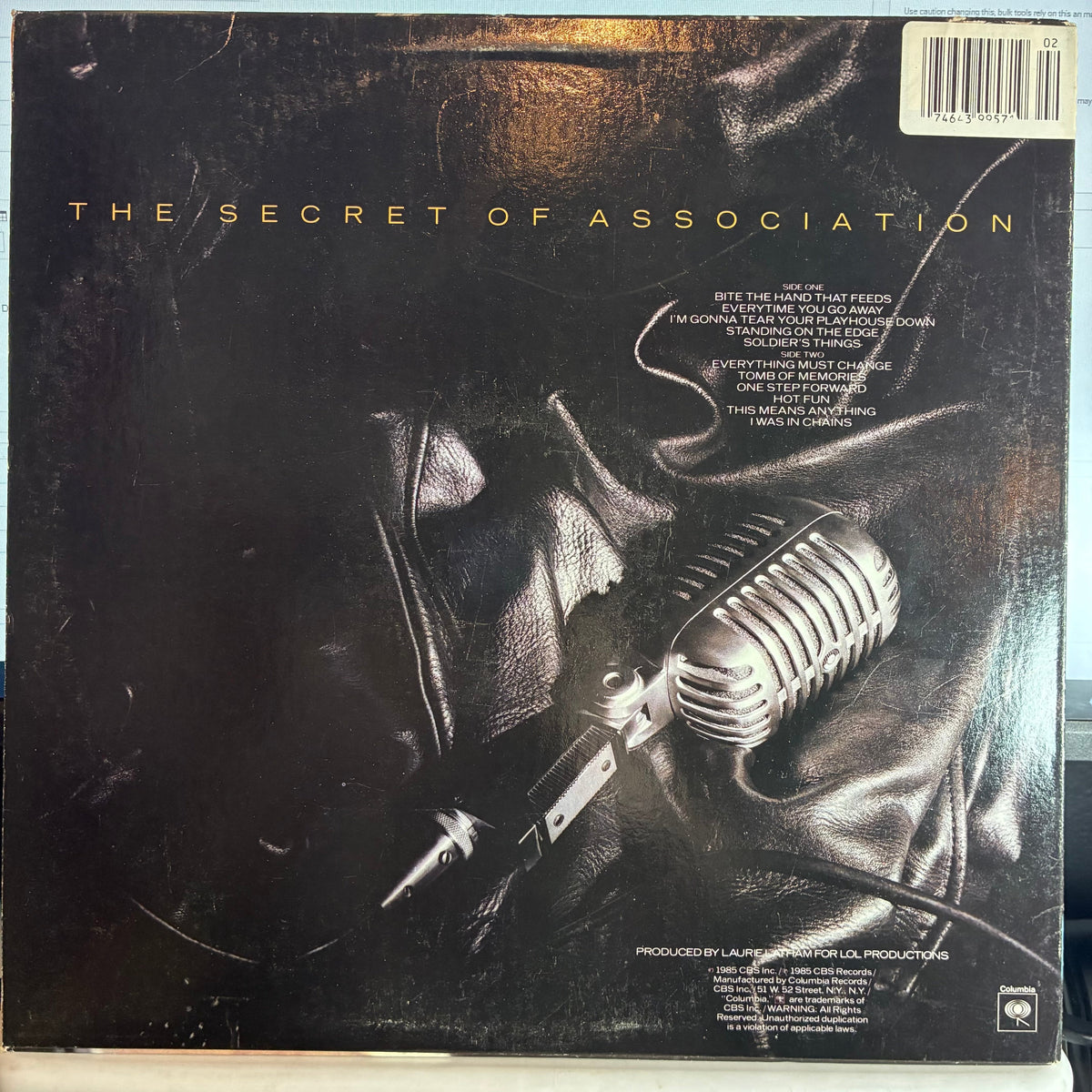 Paul Young - The Secret Of Association (VINYL) | Excellent (EX) Excellent (EX)-Classic Vinyl Record