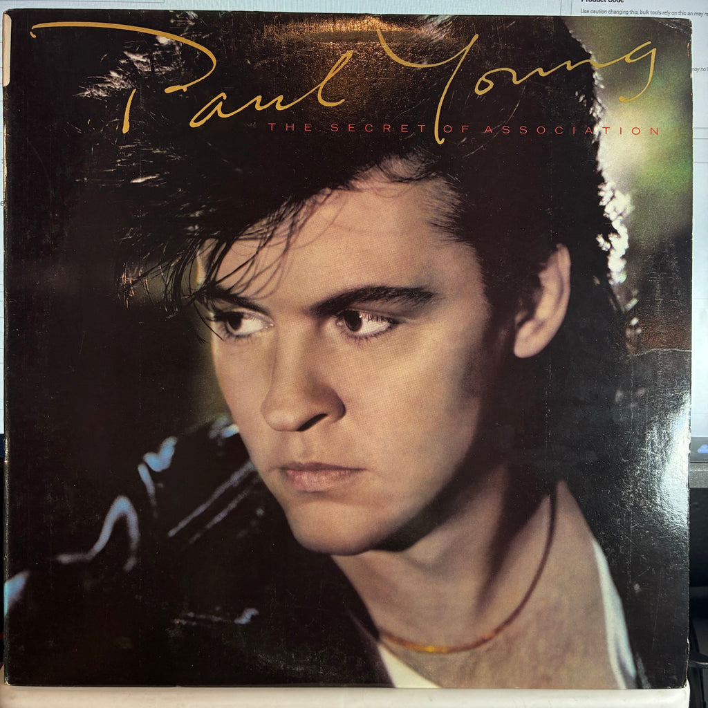 Paul Young - The Secret Of Association (VINYL) | Excellent (EX) Excellent (EX)-Classic Vinyl Record