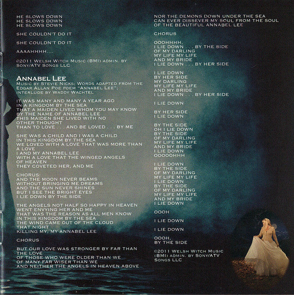Stevie Nicks - In Your Dreams (CD) | Near Mint- (NM-) Near Mint- (NM-)-Classic Vinyl Record