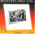 Lynyrd Skynyrd - Skynyrd's First And... Last (CD) | Near Mint (NM) Near Mint (NM)-Classic Vinyl Record
