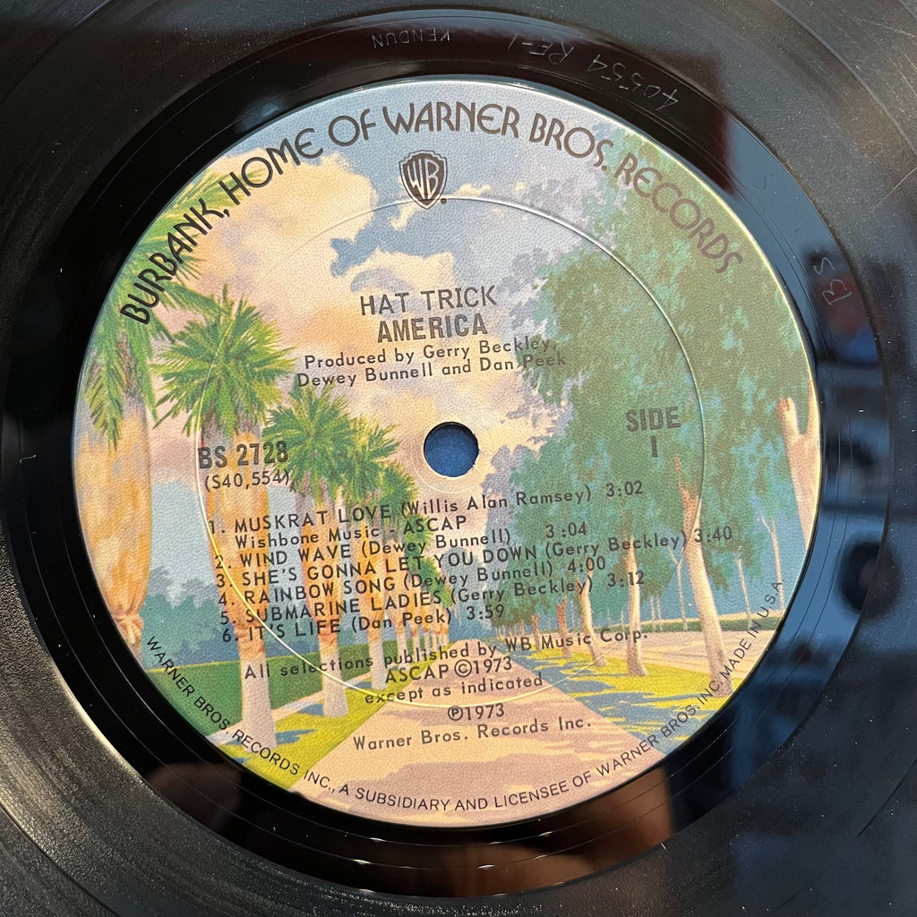 America (2) - Hat Trick (VINYL) | Near Mint (NM) Excellent (EX)-Classic Vinyl Record