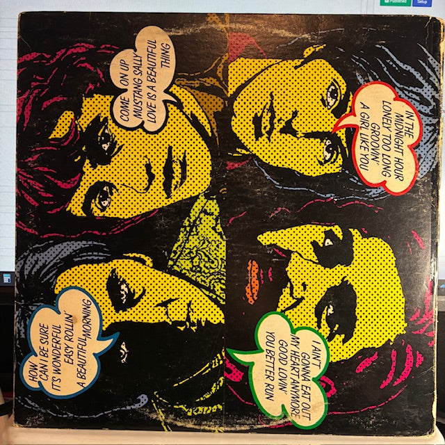 The Rascals - Time Peace: The Rascals' Greatest Hits (VINYL) | Very Good Plus (VG+) Very Good Plus (VG+)-Classic Vinyl Record