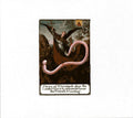 HMLTD - The Worm | Mint (M) Mint (M)-Classic Vinyl Record