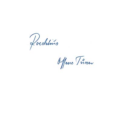 Roedelius - Offene Turen (VINYL) | Mint (M) Mint (M)-Classic Vinyl Record