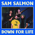 Sam Salmon - Down For Life (BLUE VINYL) | Mint (M) Mint (M)-Classic Vinyl Record