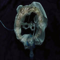Ship Sket - Initiatrix (VINYL) | Mint (M) Mint (M)-Classic Vinyl Record