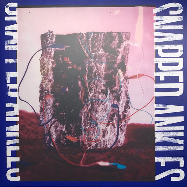 Forest Of Your Problems | Mint (M) Mint (M)-Classic Vinyl Record