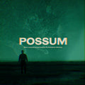 Radiophonic Workshop, The - Possum (CD) |-Classic Vinyl Record