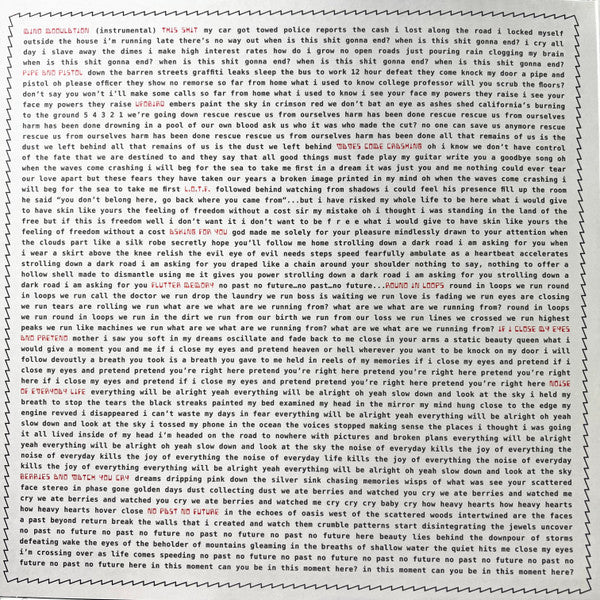 Spacemoth - No Past No Future | Mint (M) Mint (M)-Classic Vinyl Record