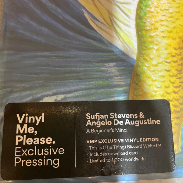 Sufjan Stevens & Angelo De Augustine - A Beginner's Mind | Mint (M) Mint (M)-Classic Vinyl Record