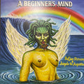 Sufjan Stevens & Angelo De Augustine - A Beginner's Mind | Mint (M) Mint (M)-Classic Vinyl Record