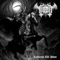 Taar - Catharsis Till Dawn (White VINYL) | Mint (M) Mint (M)-Classic Vinyl Record